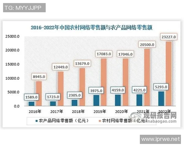 互联网时代下数字经济新动能的崛起与发展趋势探索